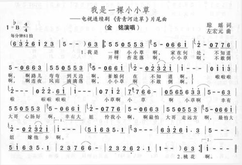 如果我是400字的小草