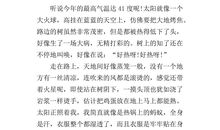 有关夏天的作文