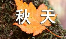 我爱秋天作文800字