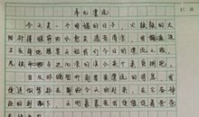 我的课余生活作文300字