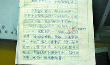 描写夏天的作文