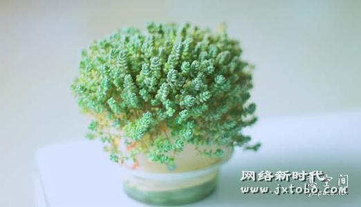 徐志安的经典语录