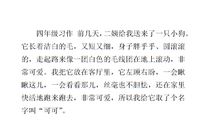 我的小狗作文600字