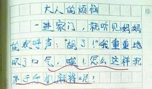 介绍电脑的作文500字