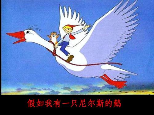 假设我有一个Nils鹅800个字符的组合