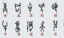 甲骨文的发现读后感