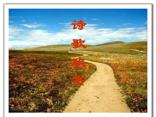 诗歌：相信未来