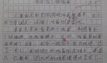 我学会了什么的作文450字