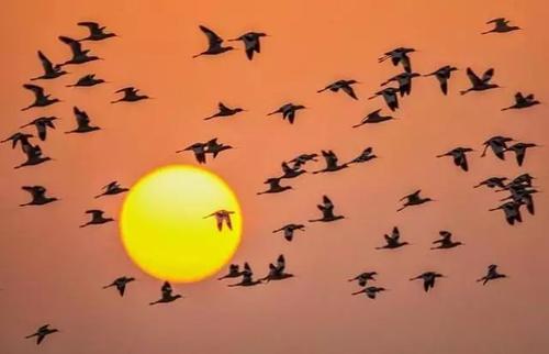 一首好的励志诗