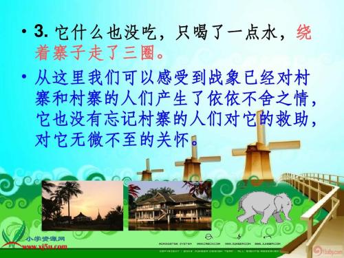 “最后的大象”阅读记录卡