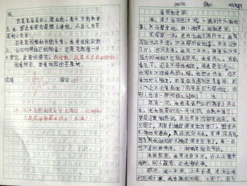 快乐的东西组成