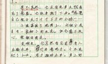 关于观察的作文