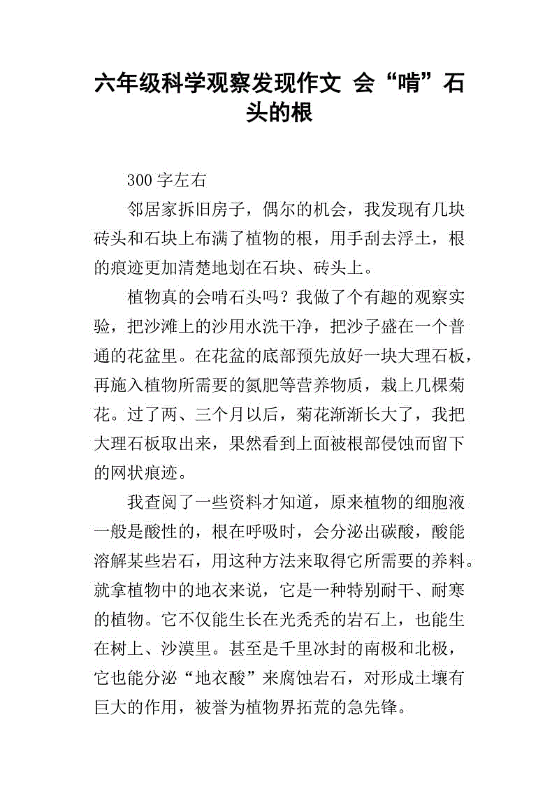 观测中的新发现组成