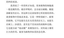 观察中的新发现作文