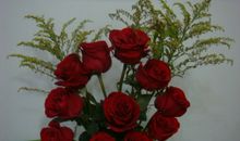 种子的力读后感