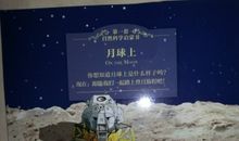 花边饺子读后感