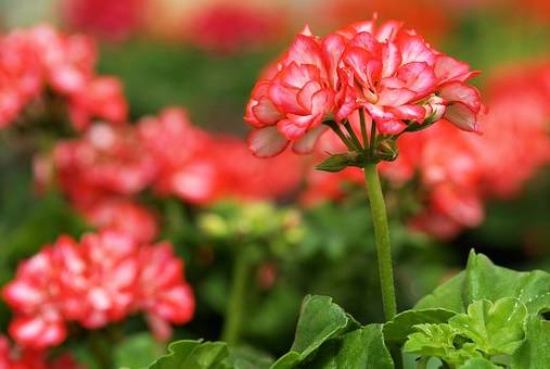 经典人生：人生六点