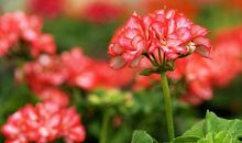 经典处世：人生六不交