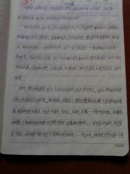 寒假活动计划构成