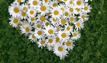 深藏心底的回忆作文