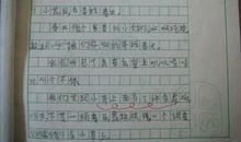 寻找春天的踪迹作文