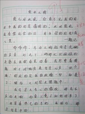 关于防火的组成