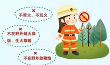 关于森林防火的作文