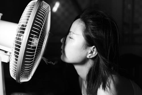 我内心深处的秘密成分