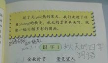 冰心美文读后感