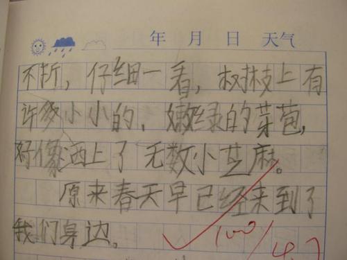 寻找春天的小学作文