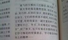 森林防火作文400字