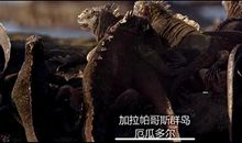 天地玄黄观后感