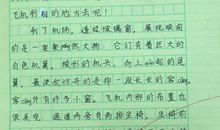 坐飞机的感受作文