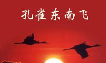 改写孔雀东南飞