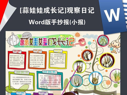 观察植物生长日记