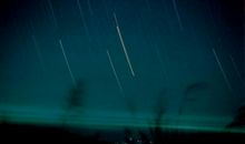 野草秋夜读后感