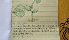 观察植物生长的日记