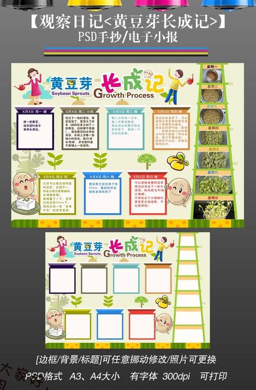 小学观察植物日记