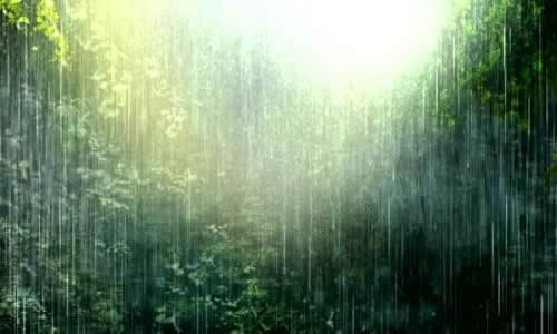 风雨中美丽的构图