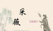 诗经采薇读后感