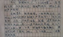 春天的作文350字