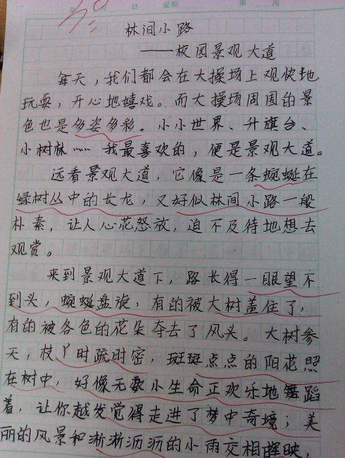 创作感动了我自己