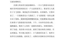 小飞袋貂回家记读后感