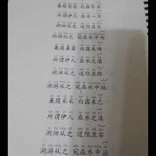 看完《诗经》和贾甲