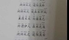 诗经蒹葭读后感