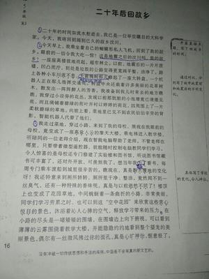 暴风雨后的组成