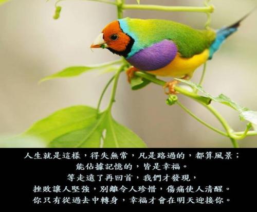 看完沿途的风景