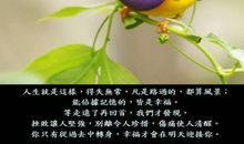 一路风景读后感