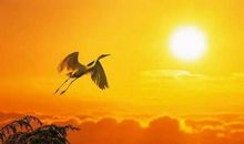 人品才是最高学历