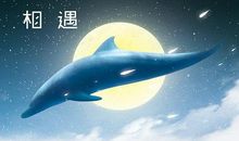 智慧的美丽读后感